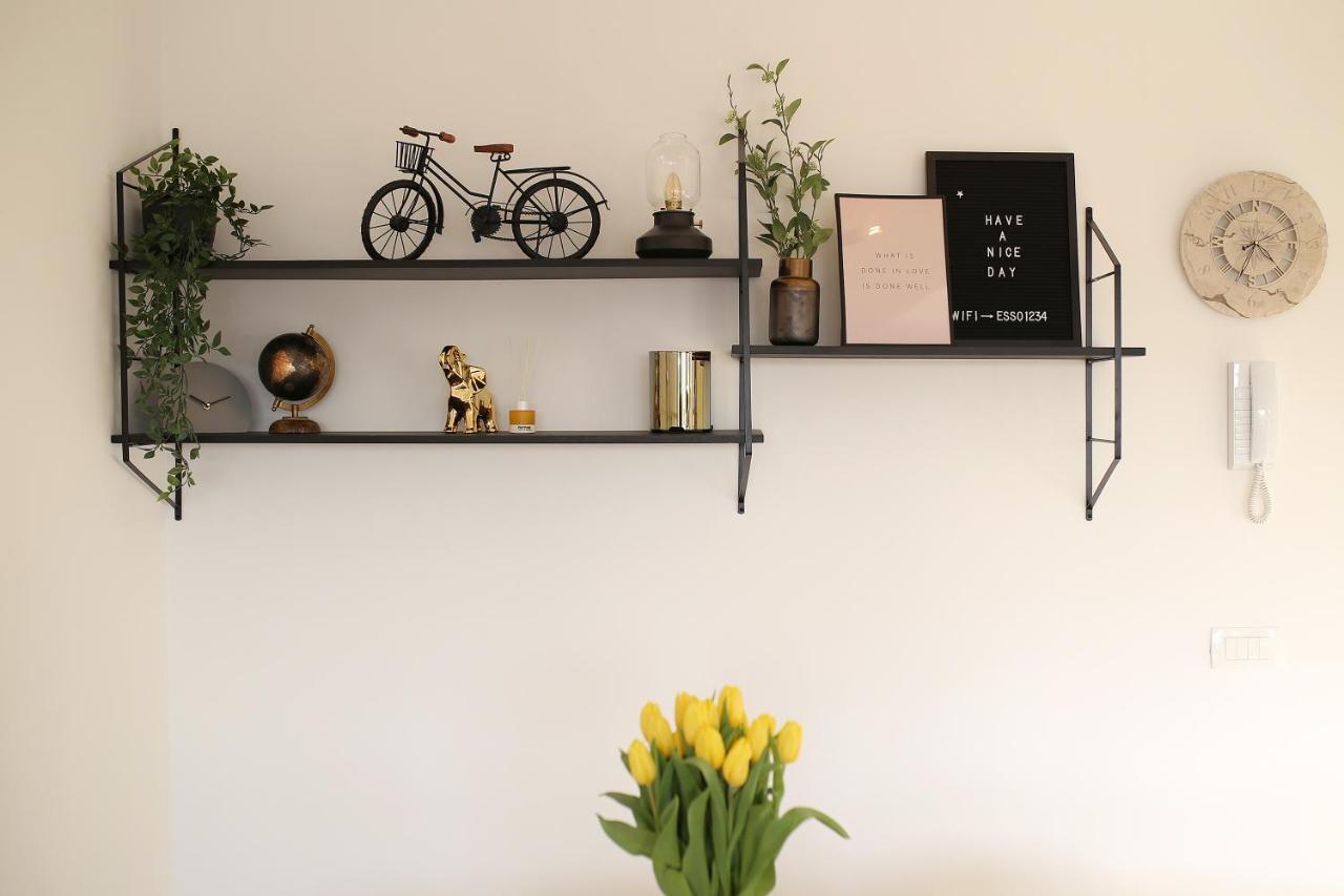 Esso Roof Terrace Apartment 扎达尔 外观 照片